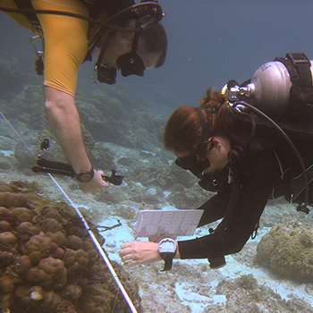 marine habitat survey training is part of all our expeditions
